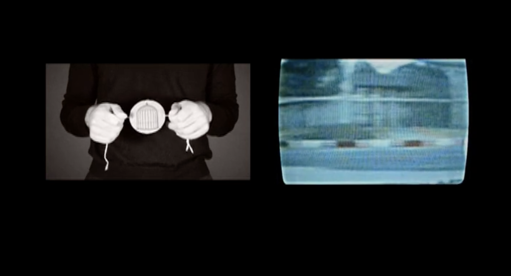 Virginia Colwell, The Song of Source, 2013, digital video NTSC,  4 minutes, 51 seconds. Courtesy of MARSO, Mexico City.