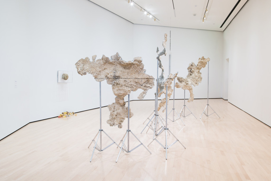 Field Station: Daniel G. Baird, installation view at the MSU Broad, 2017. The Eli and Edythe Broad Art Museum at Michigan State University. Photo Credit: Eat Pomegranate Photography.